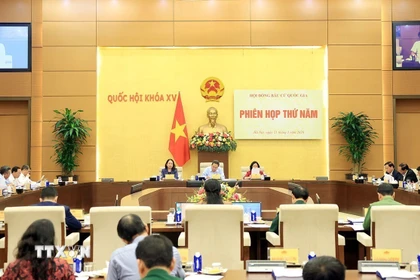 Quang cảnh phiên họp. (Ảnh: Tuấn Anh/TTXVN)