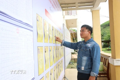 Cử tri tìm hiểu thông tin về các ứng cử viên đại biểu Quốc hội và HĐND các cấp. (Ảnh: Võ Văn Dũng/TTXVN)