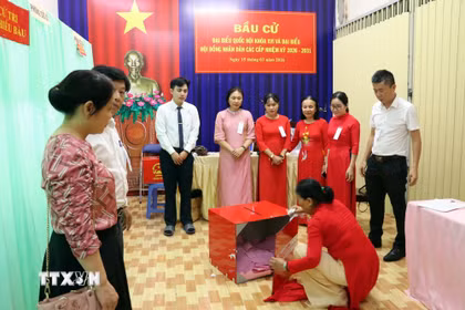 Các thành viên Tổ bầu cử số 27, phường Tam Thắng, Thành phố Hồ Chí Minh tiến hành kiểm phiếu. (Ảnh: Thanh Vũ/TTXVN)
