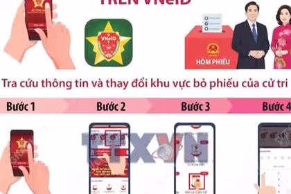 Cách tra cứu thông tin và thay đổi khu vực bỏ phiếu trên VNeID