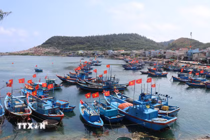 Cờ Tổ quốc trên nhiều tàu cá ở đặc khu Lý Sơn (Quảng Ngãi), hướng về Ngày bầu cử. (Ảnh: Phạm Cường/TTXVN)