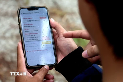 Sinh viên tra cứu thông tin liên quan đến cuộc bầu cử như: địa điểm bỏ phiếu, danh sách ứng cử viên, tiểu sử và chương trình hành động của các ứng cử viên trên ứng dụng VNeID. (Ảnh: Khoa Chương/TTXVN)