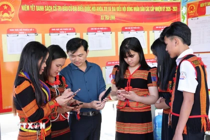Đồng bào Xơ Đăng (xã Trà Linh, thành phố Đà Nẵng) theo dõi trên điện thoại các video clip, Inforgraphics hướng dẫn cách thức đi bỏ phiếu. (Ảnh: Trần Tĩnh/TTXVN)