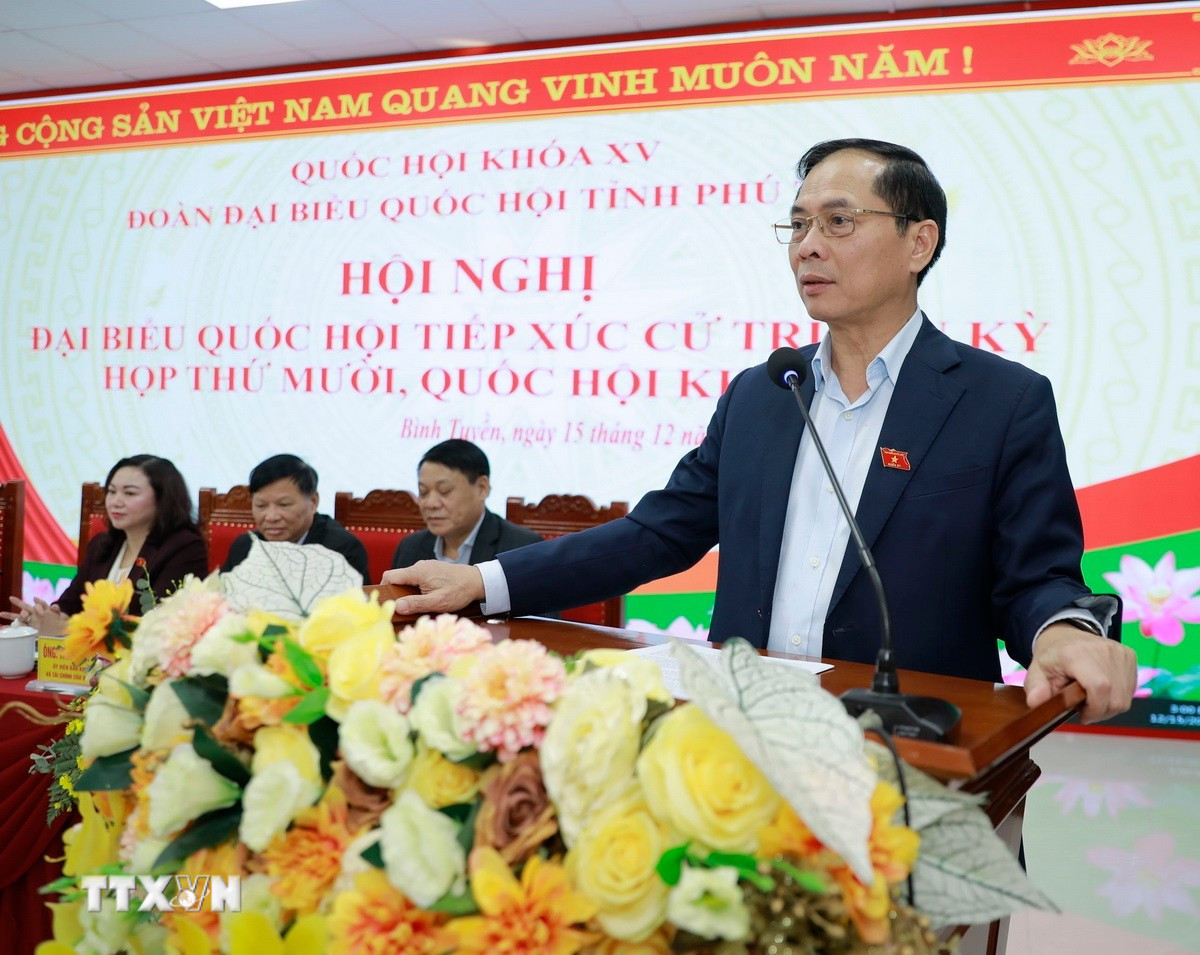 Phó Thủ tướng Chính phủ Bùi Thanh Sơn phát biểu tại buổi tiếp xúc cử tri. (Ảnh: Nguyễn Thảo/TTXVN)