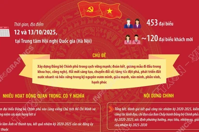 Đại hội đại biểu Đảng bộ Chính phủ lần thứ nhất, nhiệm kỳ 2025-2030