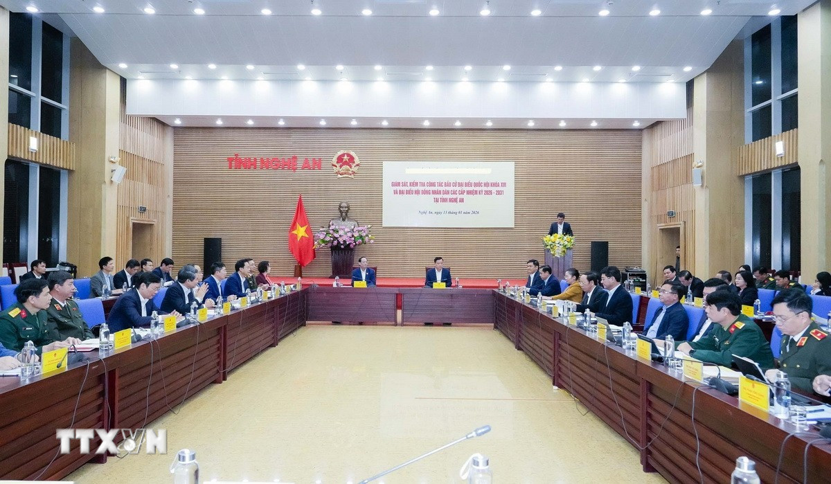 Quang cảnh buổi giám sát. (Ảnh: Trịnh Duy Hưng/TTXVN)