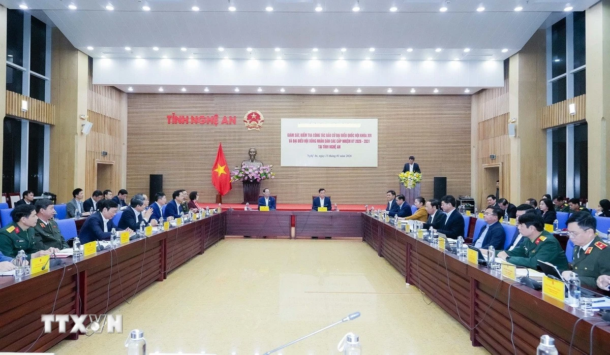 Quang cảnh buổi giám sát. (Ảnh: Trịnh Duy Hưng/TTXVN)