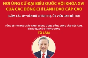 Các đồng chí lãnh đạo cấp cao ứng cử đại biểu Quốc hội khóa XVI