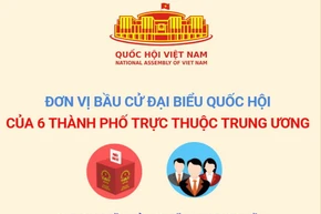 Đơn vị bầu cử đại biểu Quốc hội của 6 thành phố trực thuộc Trung ương