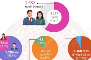 Cơ cấu 2.552 người trúng cử đại biểu HĐND cấp tỉnh nhiệm kỳ 2026-2031