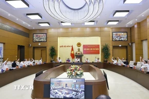 Đại biểu biểu quyết thông qua chương trình hội nghị. (Ảnh: Doãn Tấn/TTXVN)