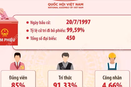 Kết quả bầu cử đại biểu Quốc hội khóa X