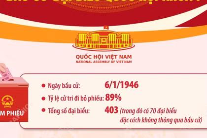 Kết quả bầu cử đại biểu Quốc hội khóa I