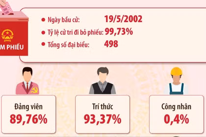 Kết quả bầu cử đại biểu Quốc hội khóa XI