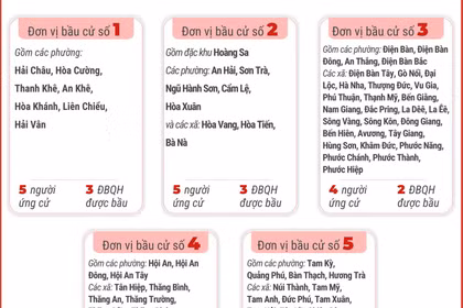 5 đơn vị bầu cử của thành phố Đà Nẵng