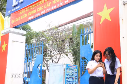 Cử tri đủ tròn 18 tuổi học tại Trường THPT Lý Tự Trọng, phường Nha Trang, tỉnh Khánh Hòa tìm hiểu thông tin về các ứng cử viên trên không gian số. (Ảnh: Phan Sáu/TTXVN)