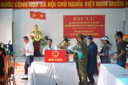 Đúng 6 giờ 30 phút, sau lễ chào cờ, hát Quốc ca, công bố thể lệ và quy chế bầu cử, cử tri xã Núi Thành tiến hành bầu cử. (Ảnh: Đoàn Hữu Trung/TTXVN)
