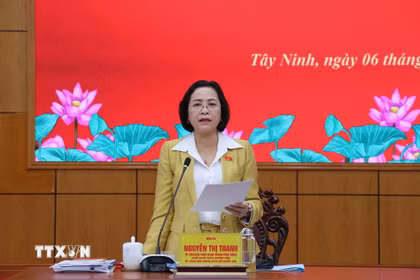 Phó Chủ tịch Quốc hội Nguyễn Thị Thanh phát biểu tại buổi làm việc. (Ảnh: Bùi Giang/TTXVN)