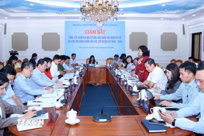Quang cảnh buổi giám sát. (Ảnh: Xuân Khu/TTXVN)