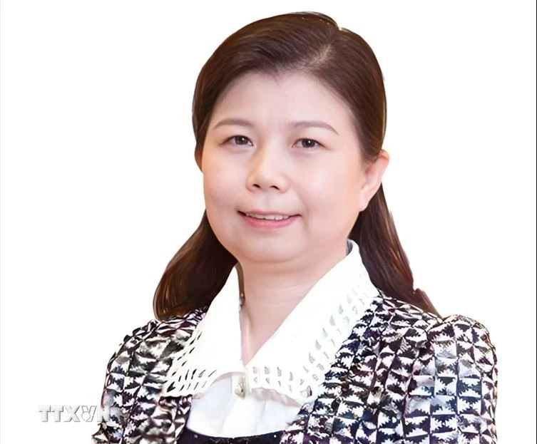 Nghiên cứu viên Viện Nghiên cứu Tài chính Trùng Dương, Đại học Nhân dân Trung Quốc Lưu Anh. (Ảnh:TTXVN phát)