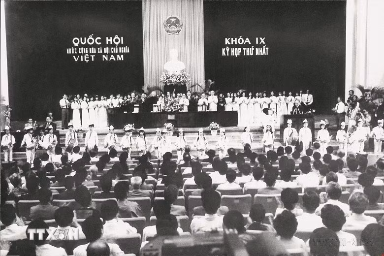 ttxvn-quoc-hoi-viet-nam-tap-trung-cao-nhat-tri-tue-y-chi-nguyen-vong-va-suc-manh-cua-nhan-dan-50.jpg