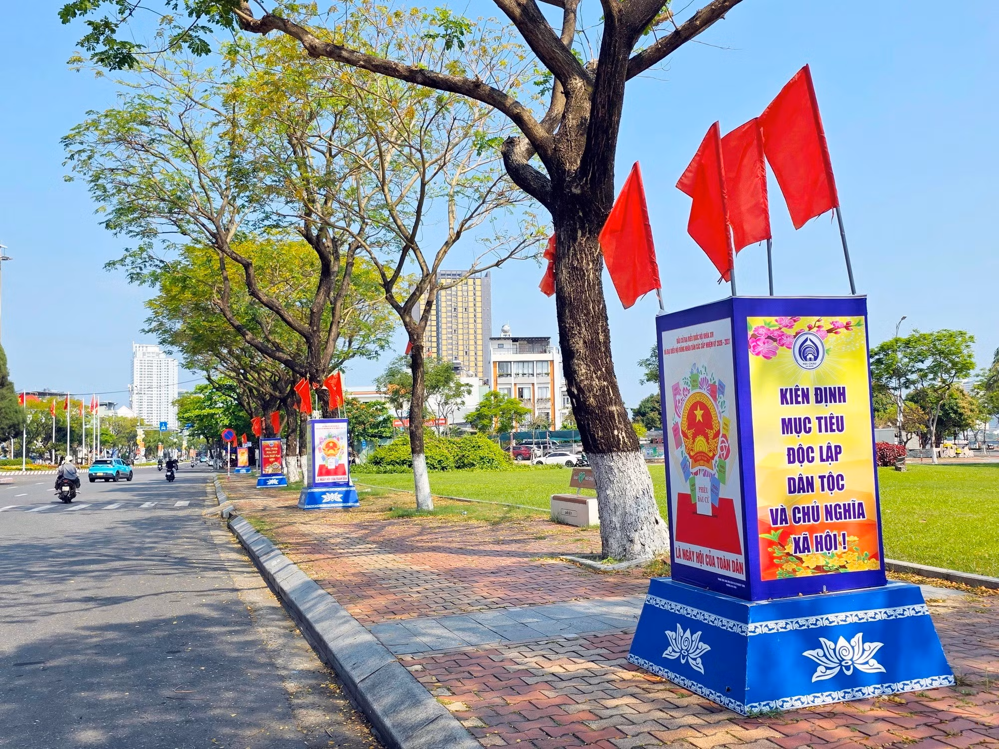 bau-cu-da-nang-3.jpg