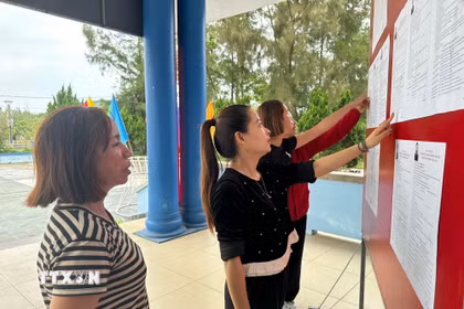 Cử tri xem bảng niêm yết danh sách chính thức, tiểu sử tóm tắt những người ứng cử đại biểu Quốc hội khóa XVI và đại biểu Hội đồng Nhân dân tỉnh Quảng Trị nhiệm kỳ 2026-2031. (Ảnh: TTXVN phát)