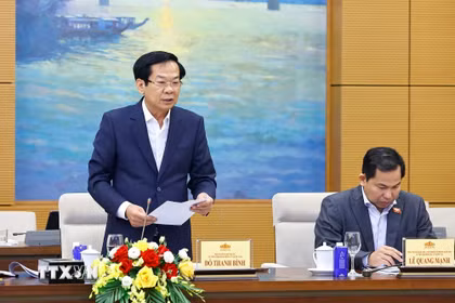 Bộ trưởng Bộ Nội vụ Đỗ Thanh Bình, Ủy viên Hội đồng Bầu cử Quốc gia phát biểu. (Ảnh: Doãn Tấn/TTXVN)