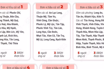 Bầu cử Quốc hội và HĐND: 5 đơn vị bầu cử của tỉnh Tây Ninh 