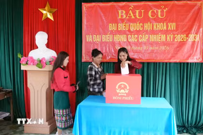 Đồng bào Bru-Vân Kiều bản Nước Đắng hân hoan bầu đại biểu Quốc hội và Hội đồng Nhân dân các cấp nhiệm kỳ 2026-2031. (Ảnh: Tá Chuyên/TTXVN)