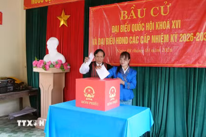 Già làng, người có uy tín Hồ Văn Xi và em Hồ Thị Thiều (cử tri lần đầu tiên đi bỏ phiếu) bỏ phiếu bầu đại biểu Quốc hội khóa XVI và đại biểu Hội đồng nhân dân các cấp nhiệm kỳ 2026-2031. (Ảnh: Tá Chuyên/TTXVN)