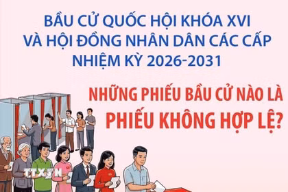 Bầu cử Quốc hội và HĐND: Những phiếu bầu cử nào là phiếu không hợp lệ? 