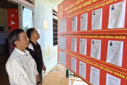Đảng viên và cử tri thôn Sơn Trung (xã Phú Nghĩa) tìm hiểu tiểu sử đại biểu ứng cử. (Ảnh: K GỬIH/TTXVN)