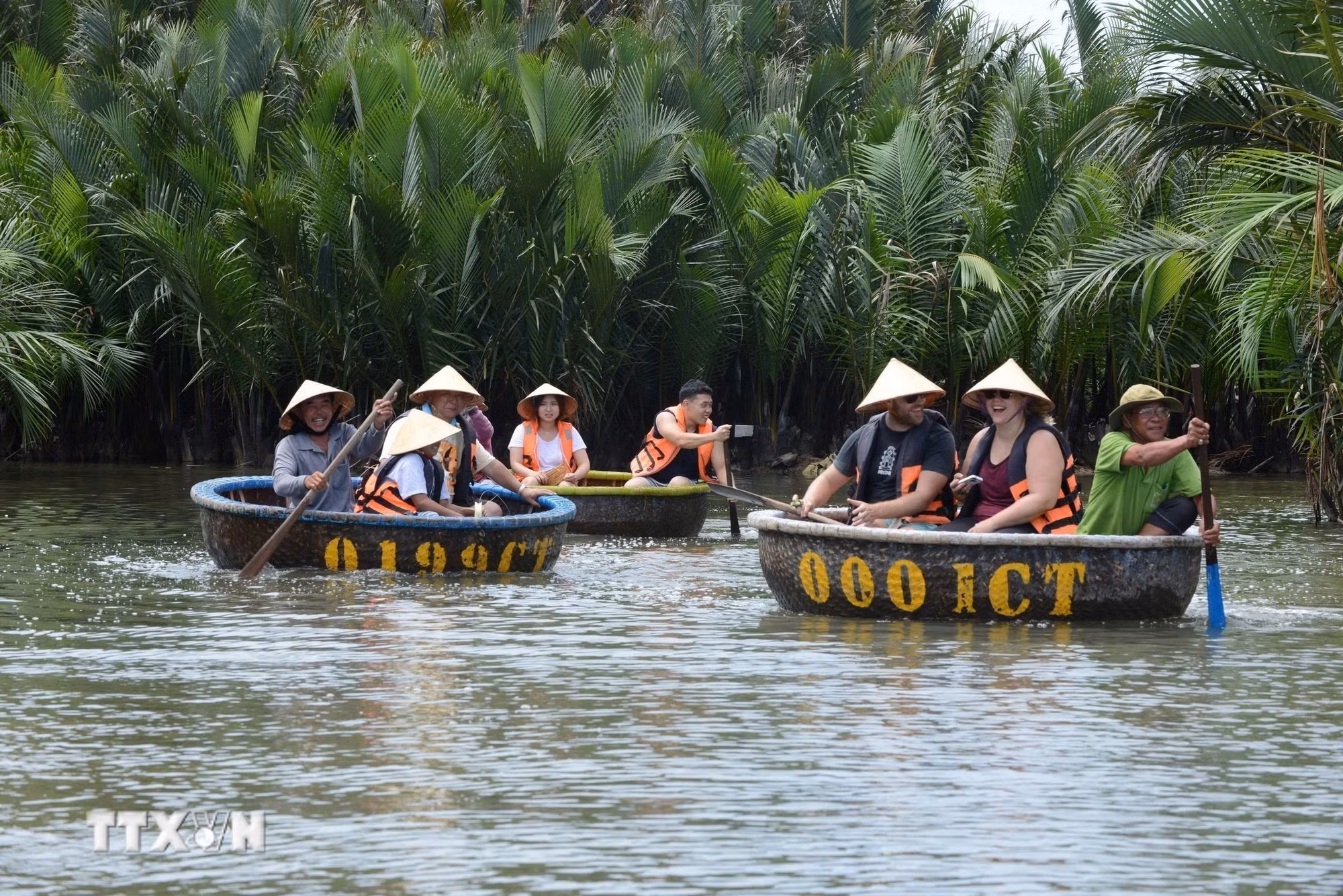 ttxvn-2703-du-lich-rung-dua-bay-mau-da-nang.jpg