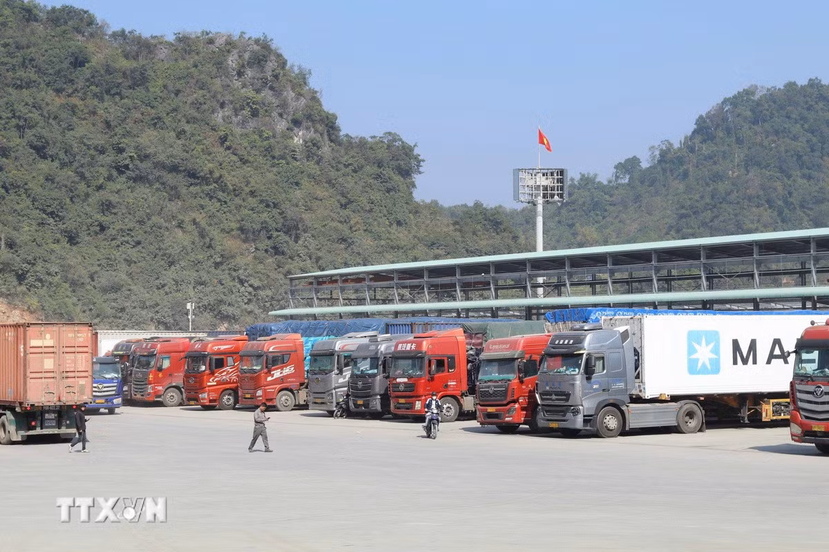 ttxvn-0801-lang-son-kinh-te-cua-khau-2.jpg