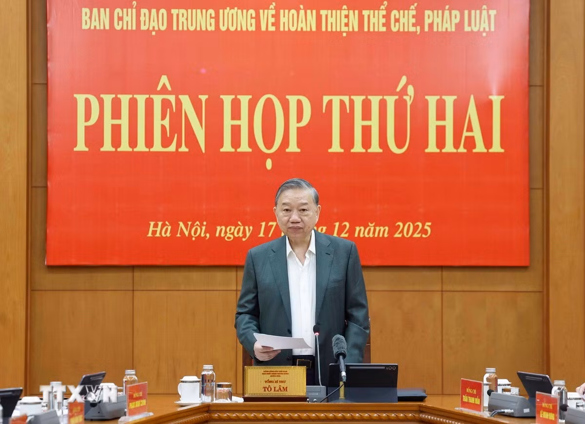 ttxvn-1712-tong-bi-thu-ban-chi-dao-trung-uong-hoan-thien-the-che-6.jpg