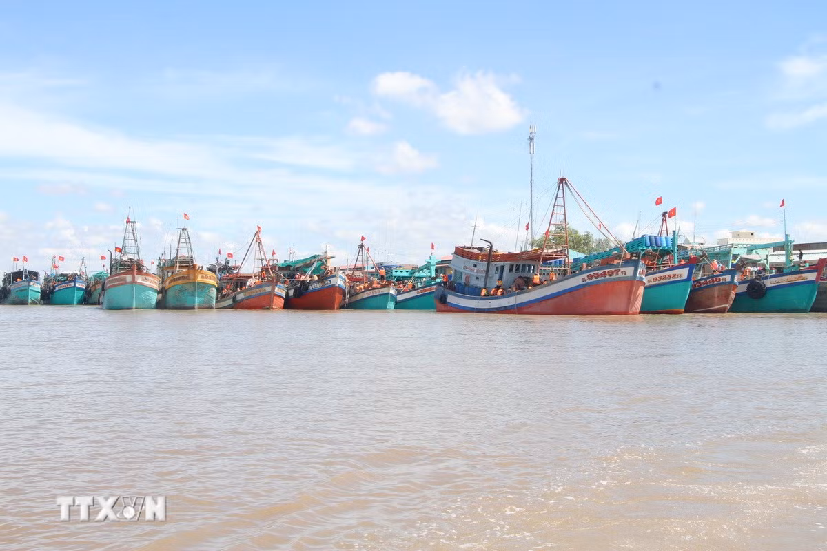 ttxvn-0910-ca-mau-ngu-truong.jpg