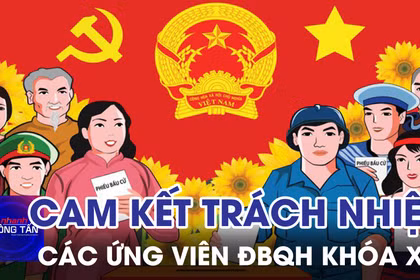 Cam kết trách nhiệm của các ứng cử viên ĐBQH khóa XVI