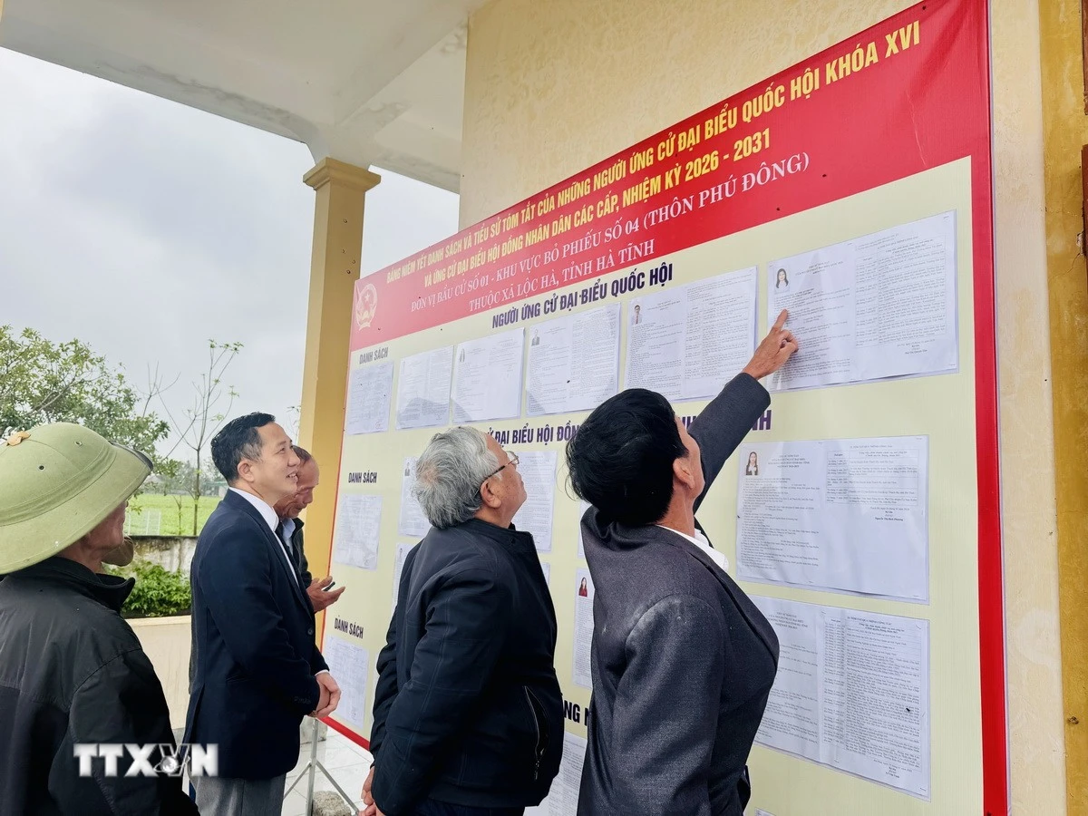 Người dân thôn Phú Đông, xã Lộc Hà, tìm hiểu thông tin người ứng cử Đại biểu Quốc hội và Đại biểu Hội đồng Nhân dân các cấp nhiệm kỳ 2026-2031. (Ảnh: Hoàng Ngà/TTXVN)