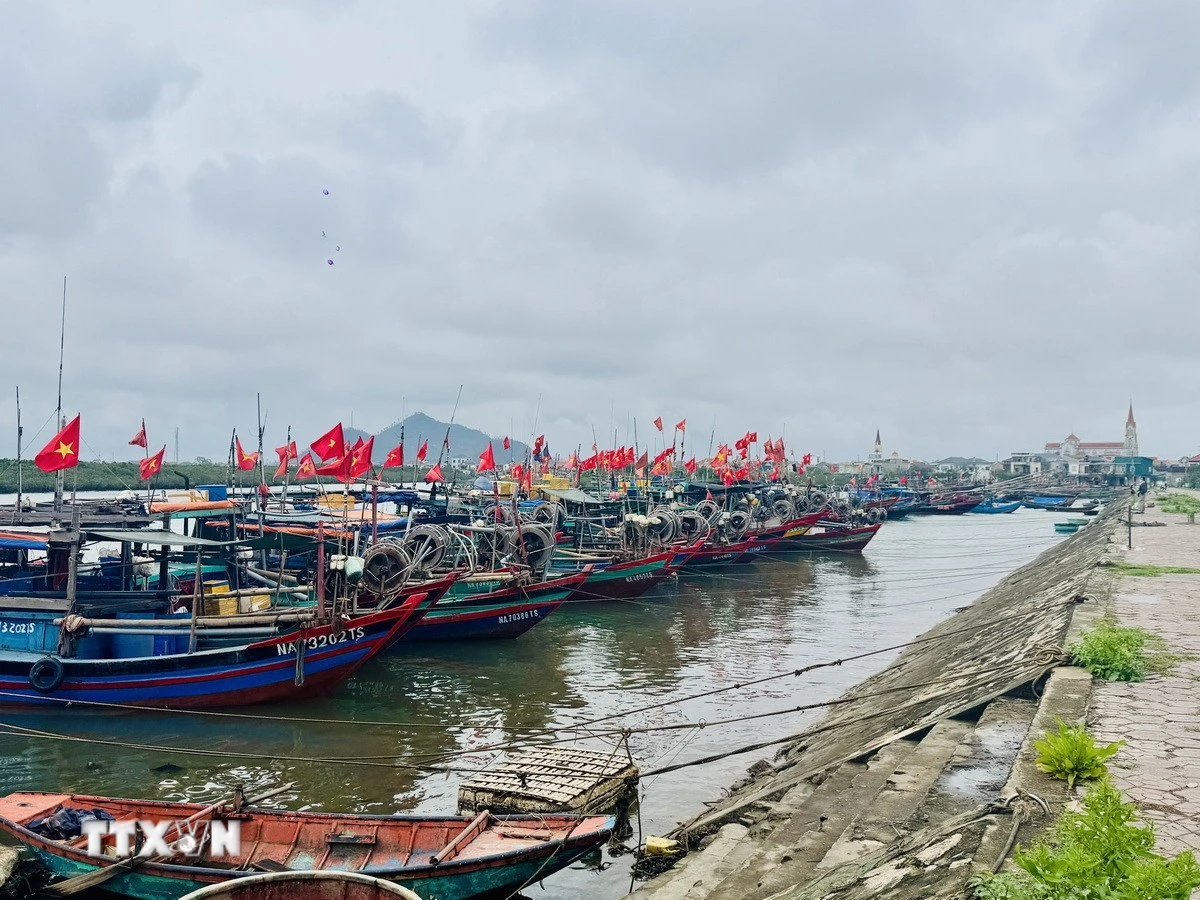 (Ảnh: Hoàng Ngà/TTXVN)