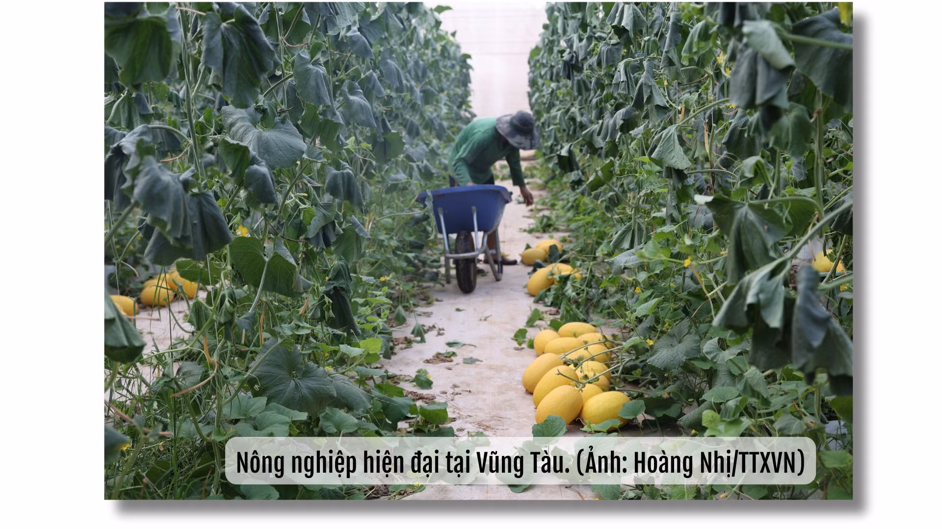 ba-ria-vung-tau-megastory-6.png