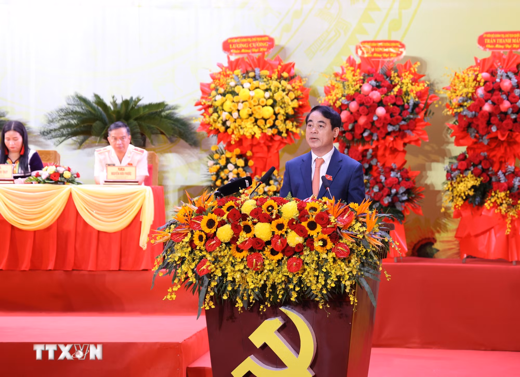 ttxvn-nghiem-xuan-thanh.jpg