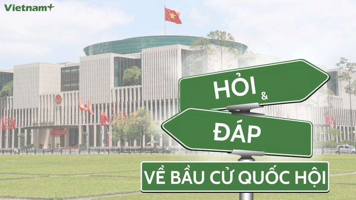 Trong trường hợp cử tri ốm đau, già yếu, khuyết tật không thể đến phòng bỏ phiếu được thì Tổ bầu cử mang hòm phiếu phụ và phiếu bầu đến chỗ ở, chỗ điều trị của cử tri để cử tri nhận phiếu bầu và thực hiện việc bầu cử. (Nguồn: Vietnam+)