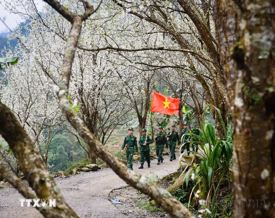 ttxvn-bien-phong.jpg